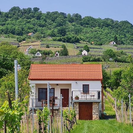 Jera Pince és Vendégház Somlovasarhely Exterior foto