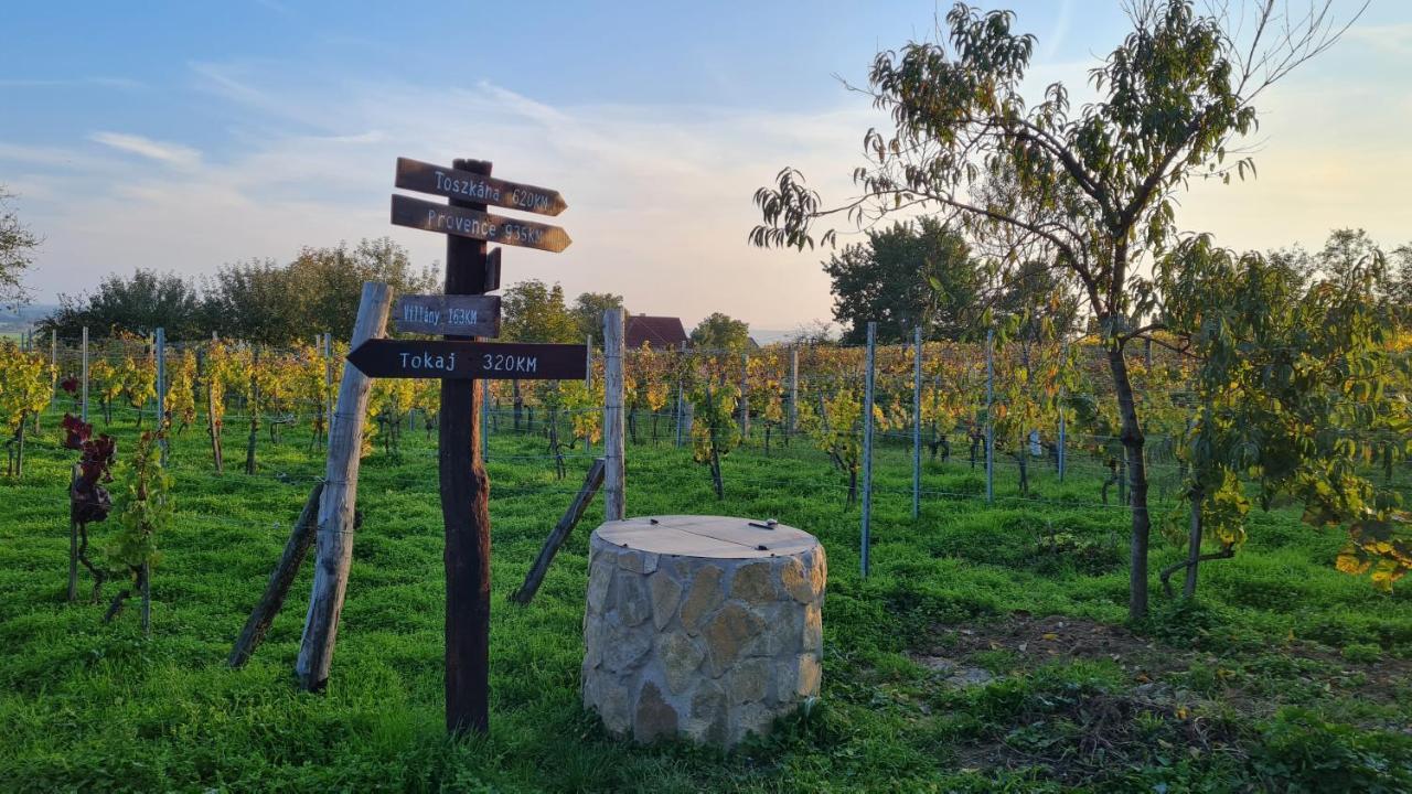 Jera Pince és Vendégház Somlovasarhely Exterior foto